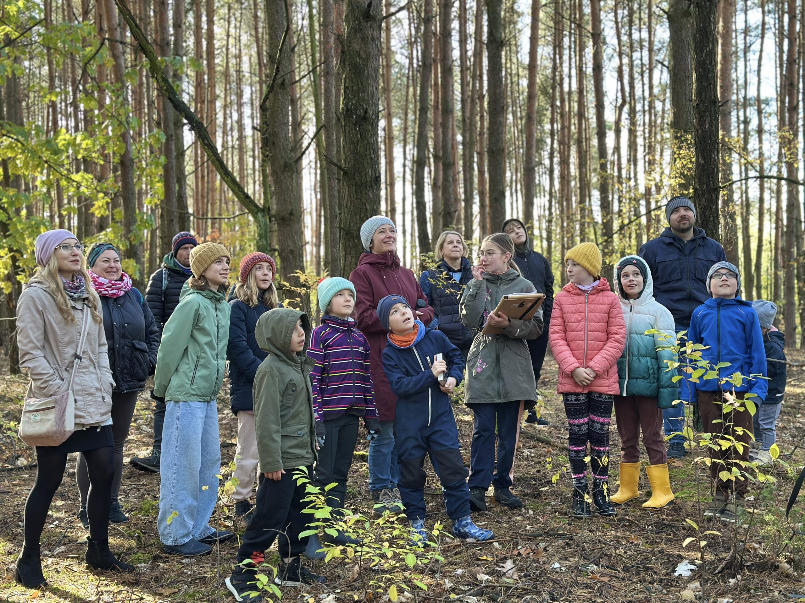 Leśne Przygody – Ptaki