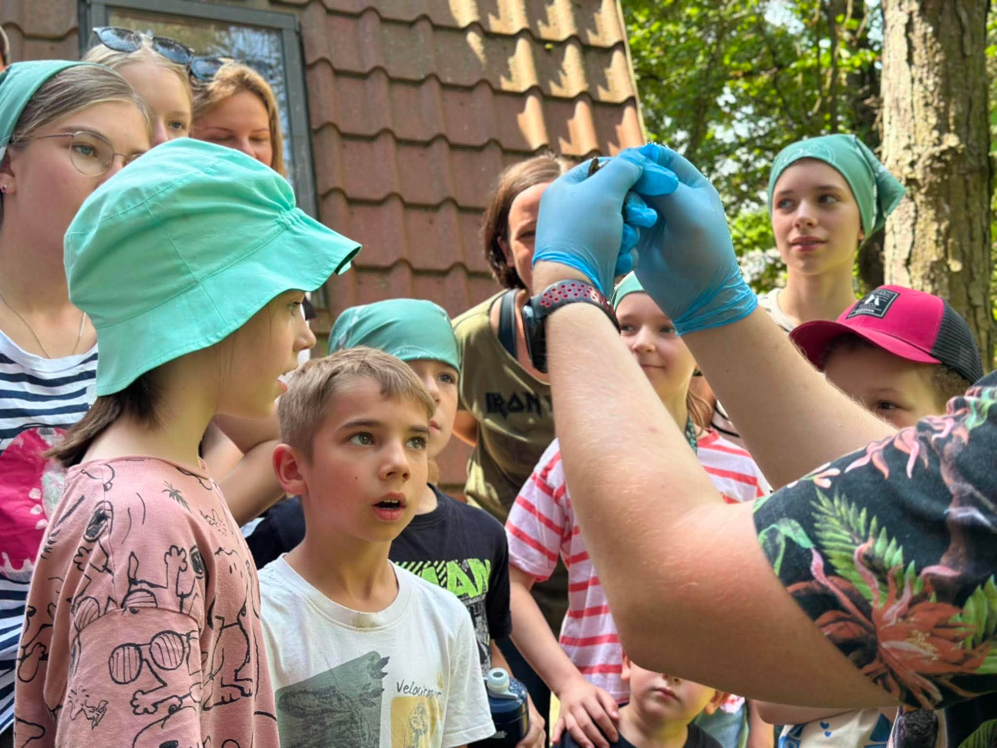 Leśne Przygody – Żaby